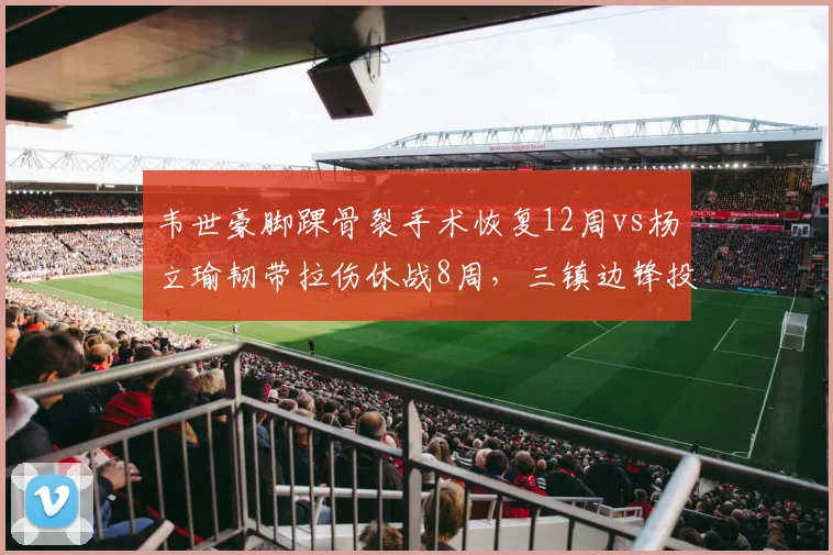 韦世豪脚踝骨裂手术恢复12周vs杨立瑜韧带拉伤休战8周,三镇边锋投资回报率遭质疑